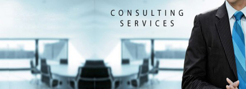 Consulting Services