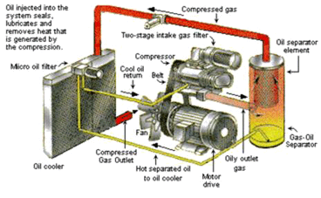 Screw Compressor