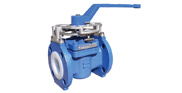 Plug Valves